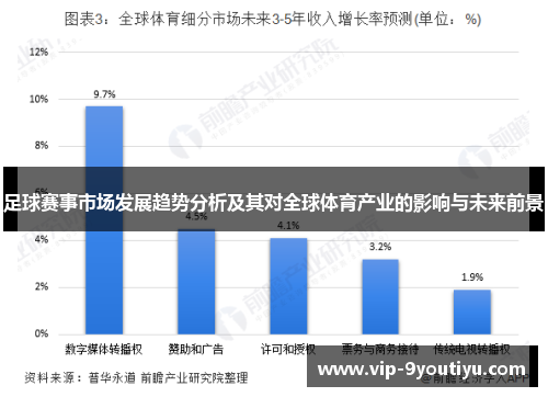 足球赛事市场发展趋势分析及其对全球体育产业的影响与未来前景