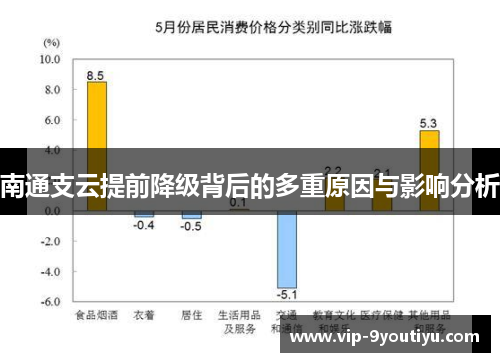 南通支云提前降级背后的多重原因与影响分析