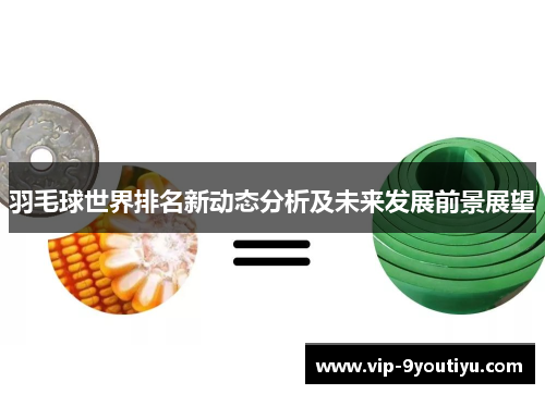 羽毛球世界排名新动态分析及未来发展前景展望