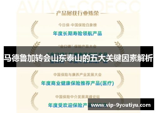 马德鲁加转会山东泰山的五大关键因素解析