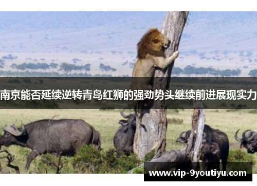 南京能否延续逆转青岛红狮的强劲势头继续前进展现实力